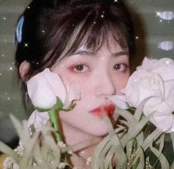 我男朋友的罗曼史