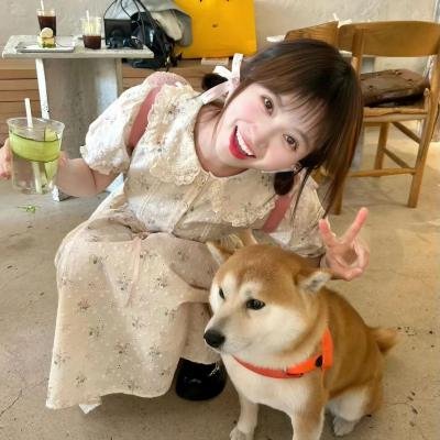外来客入侵